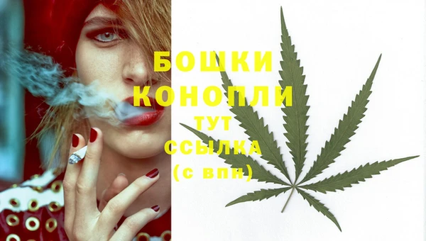 спиды Осташков