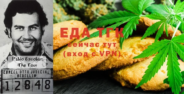 дмт Осинники
