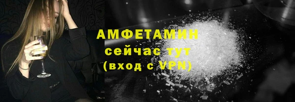 прущие грибы Абинск