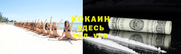 прущие грибы Абинск