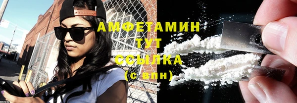 прущие грибы Абинск