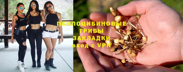 прущая мука Абаза